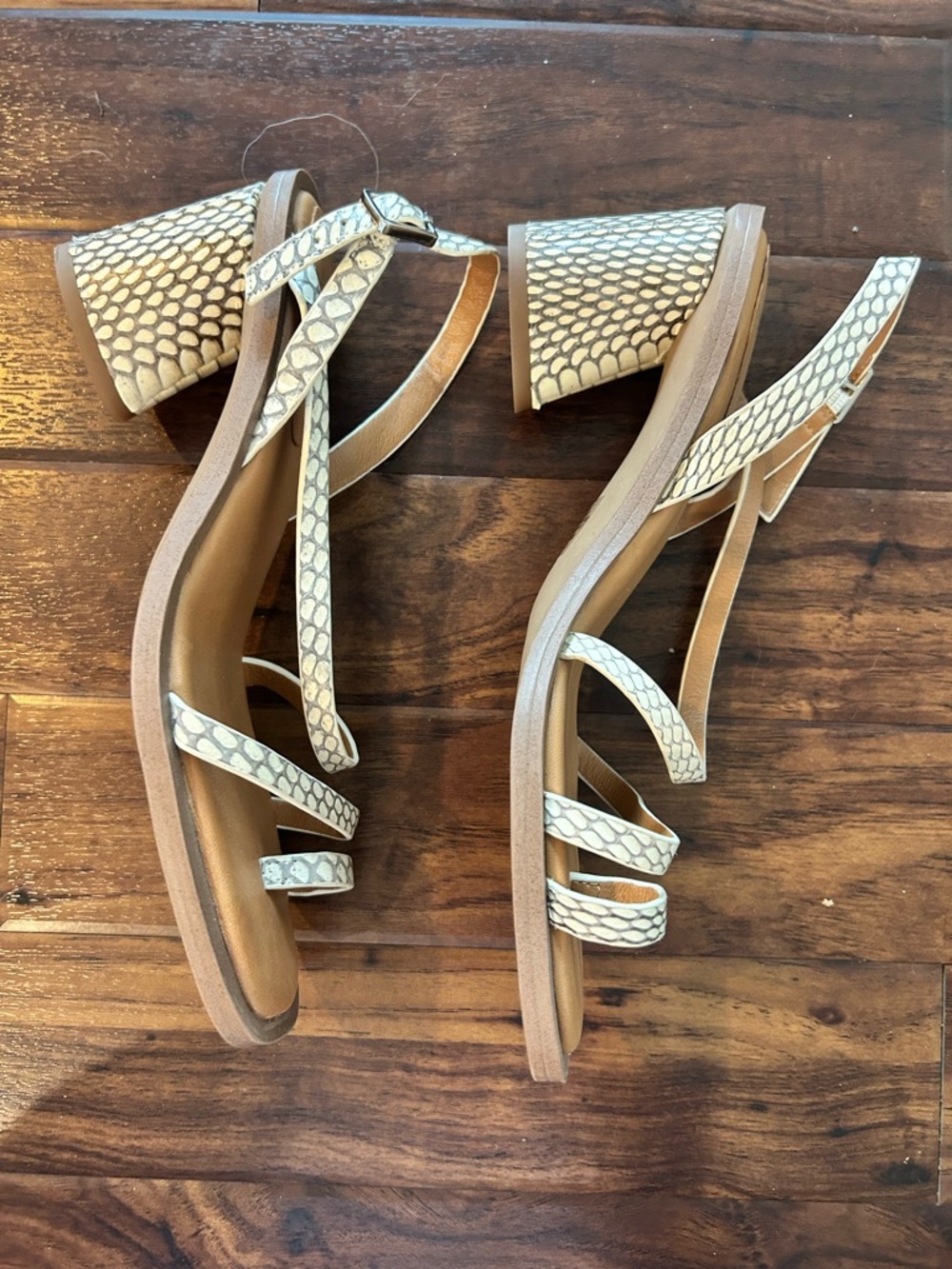 SARTO By Franco Sarto Rache 2 Snake-Print Block Heel Sandals - Picture 2 of 11